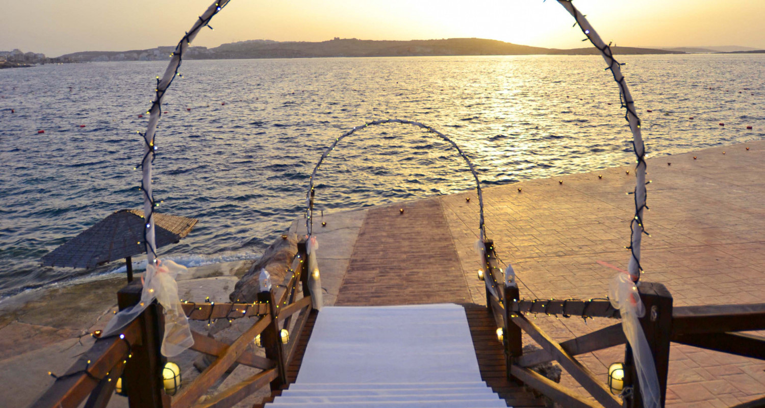 Amazonia Lower Deck3